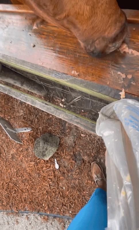 F86-AAFF7-84-B5-48-F5-9522-AE5-B7-F2-B1-ECC.gif