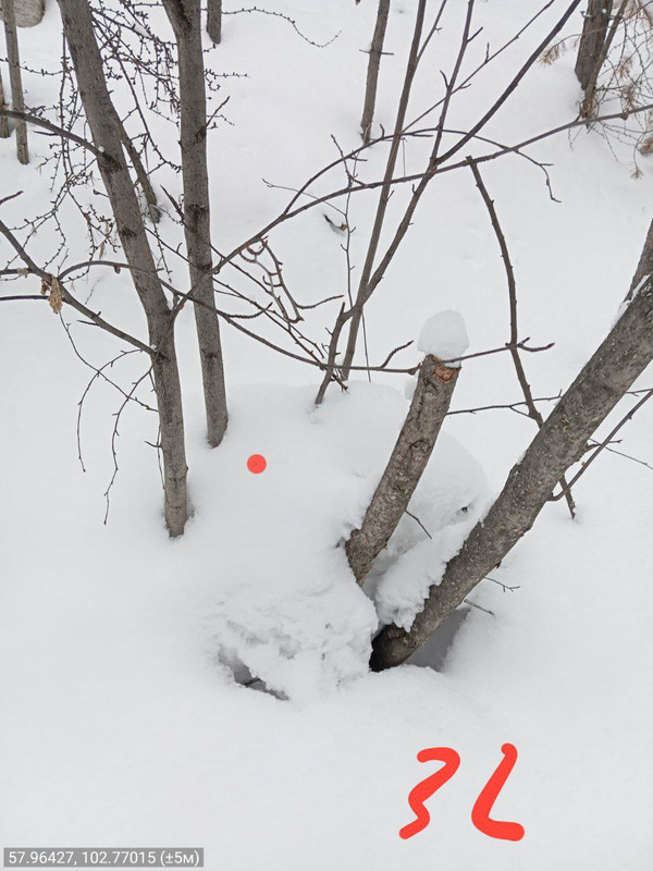 32