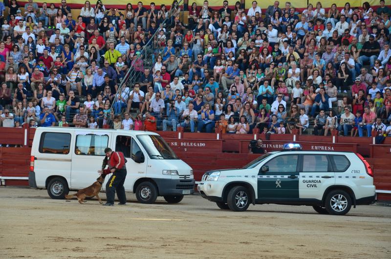 Exhibición Guardia Civil-30-9-2016 - Toledo y sus pueblos-1996/2026 (42)