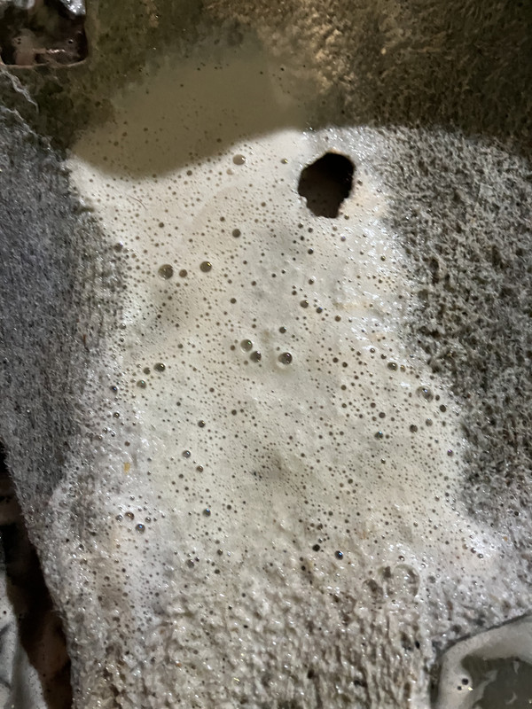 B2AA3873-F8F9-444A-B3EB-FDB41EB0CF61