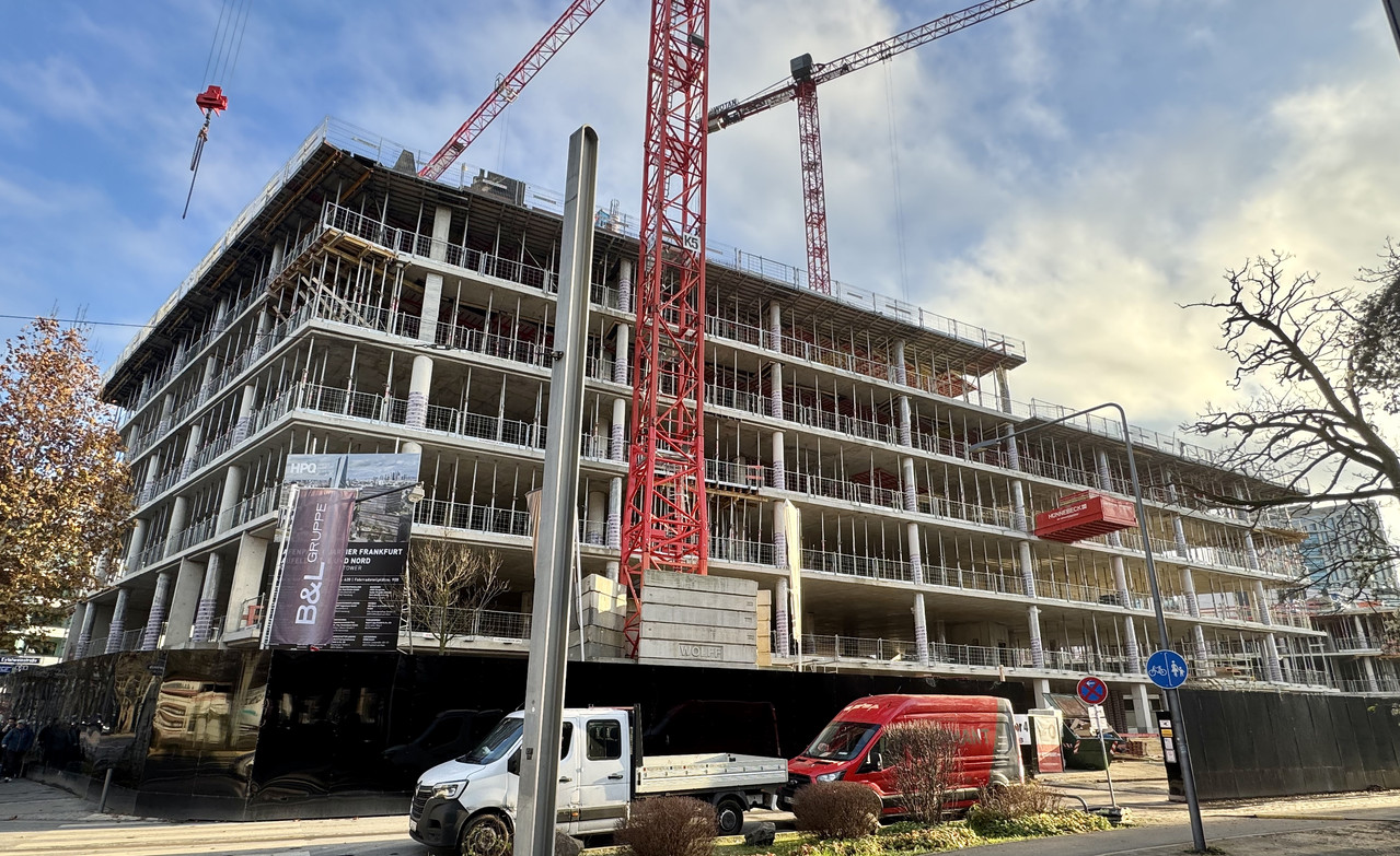 1BDD5591 21F6 4B68 B800 C1613595743C 1 201 a