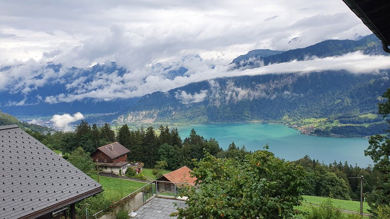 48 HORAS DE LLUVIA EN BEATENBERG - 50 sombras del verde en Suiza y Alemania (2)