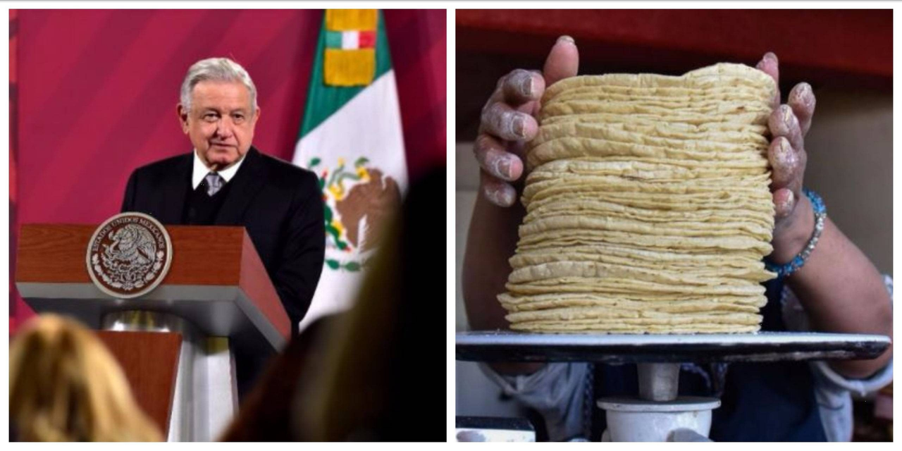 AMLO señala que México no permitirá la importación de maíz amarillo