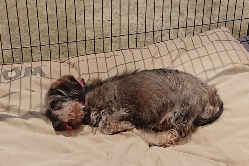 [Image: DSC-2772.jpg]