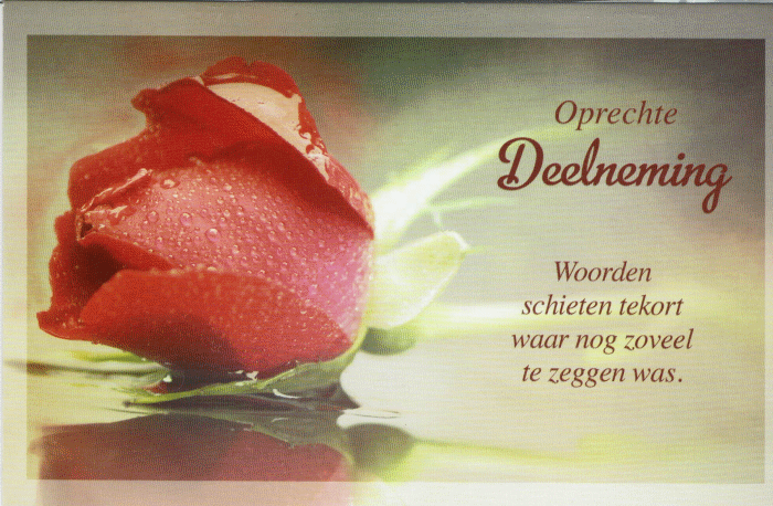 Welkom bij powerpoint Roosje