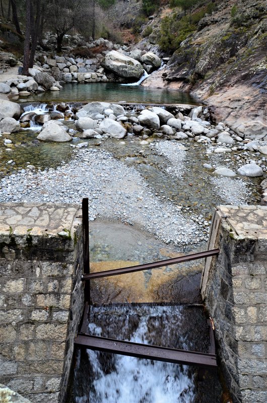 EL CHARCO VERDE-7-2-2015-AVILA - Paseando por España-1991/2023 (37)