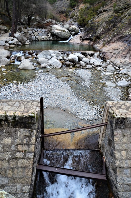 EL CHARCO VERDE-7-2-2015-AVILA - Paseando por España-1991/2015-Parte-1 (37)