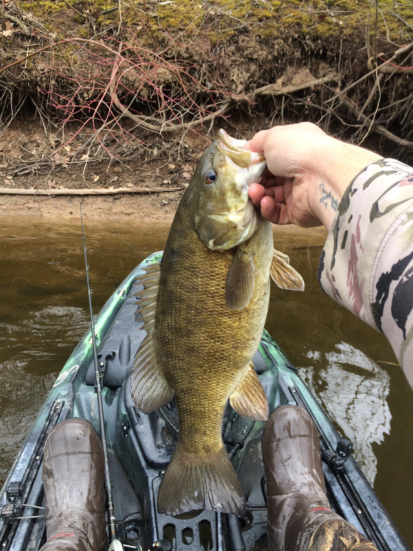 E322D88F-5D27-4546-B116-558F012085EF