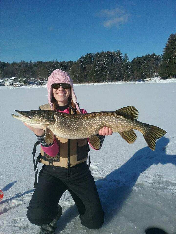 8C637E3D-3998-4641-89CC-4ED1F7A1A958