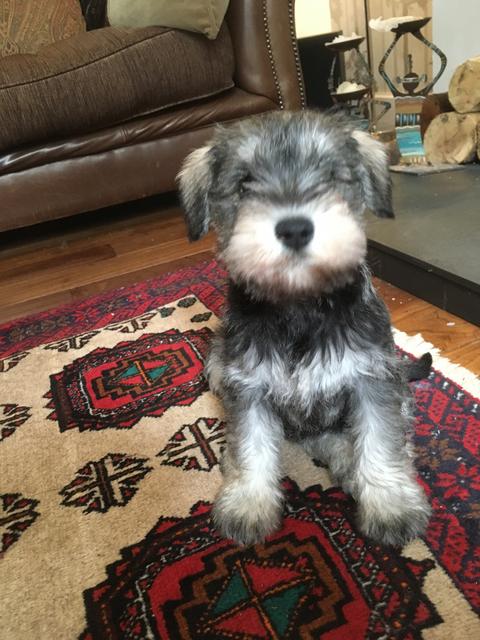 620CCCE4-51D7-43BD-A14D-AC1DDE444F1D