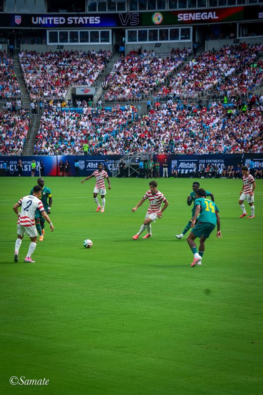 Sport