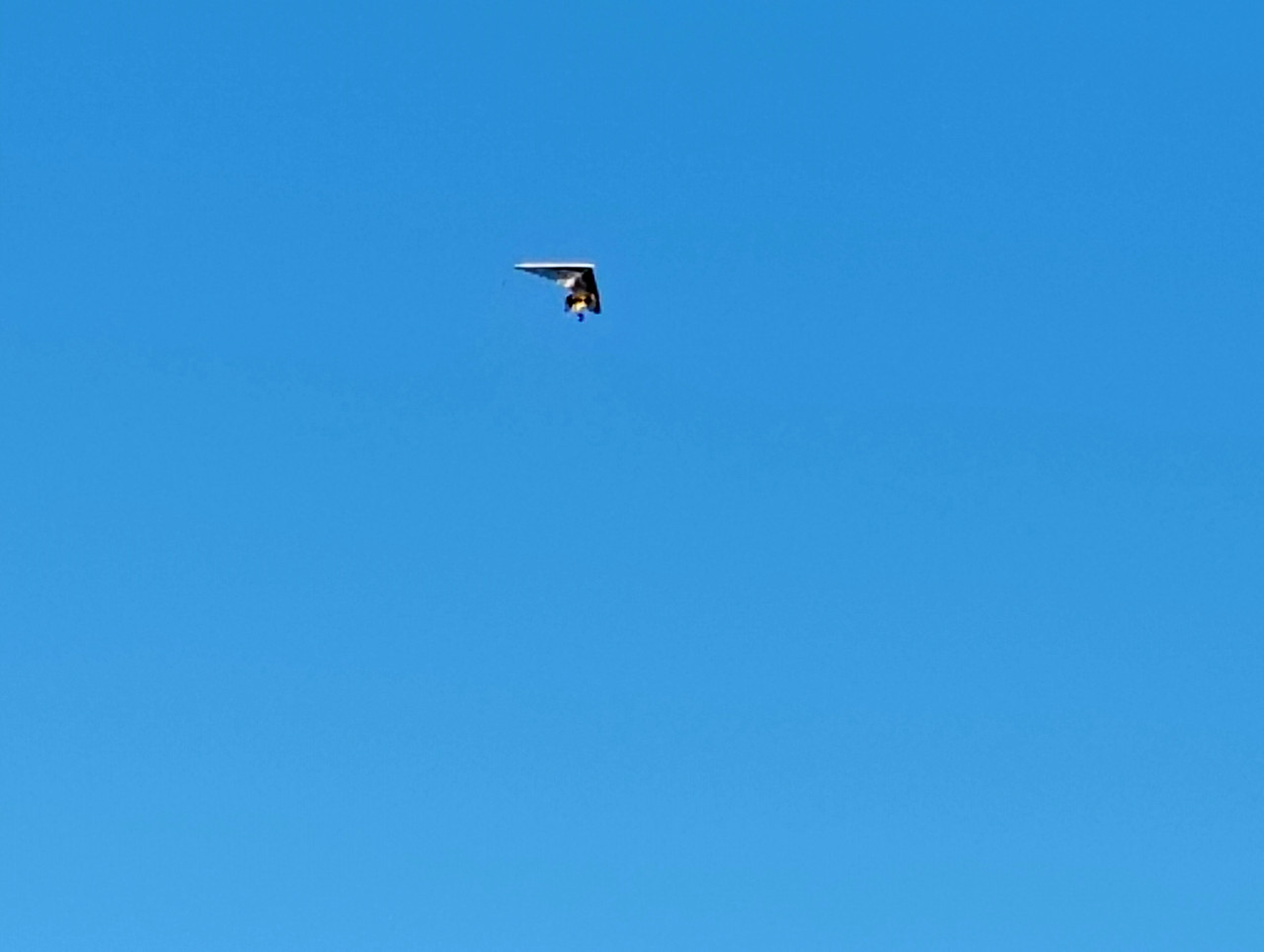 IMG 20251128 154449975 HDR AE