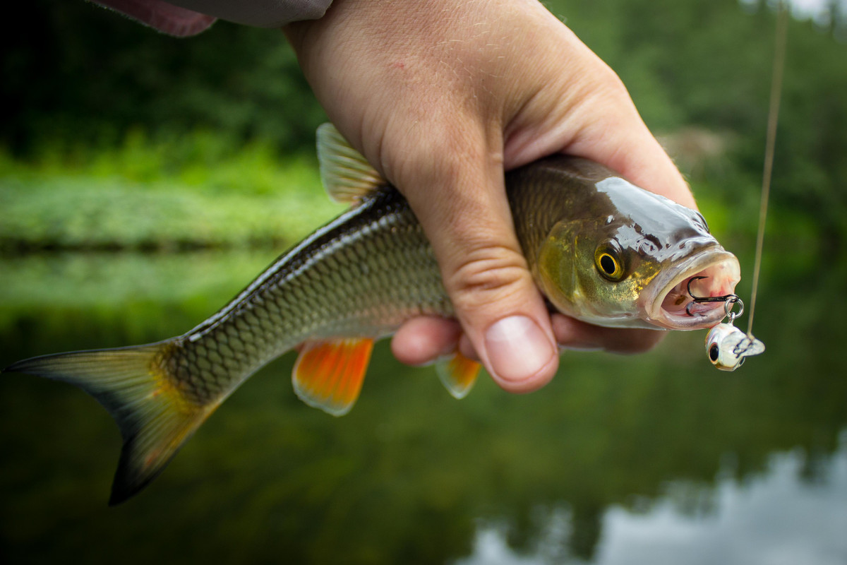 без имени-17