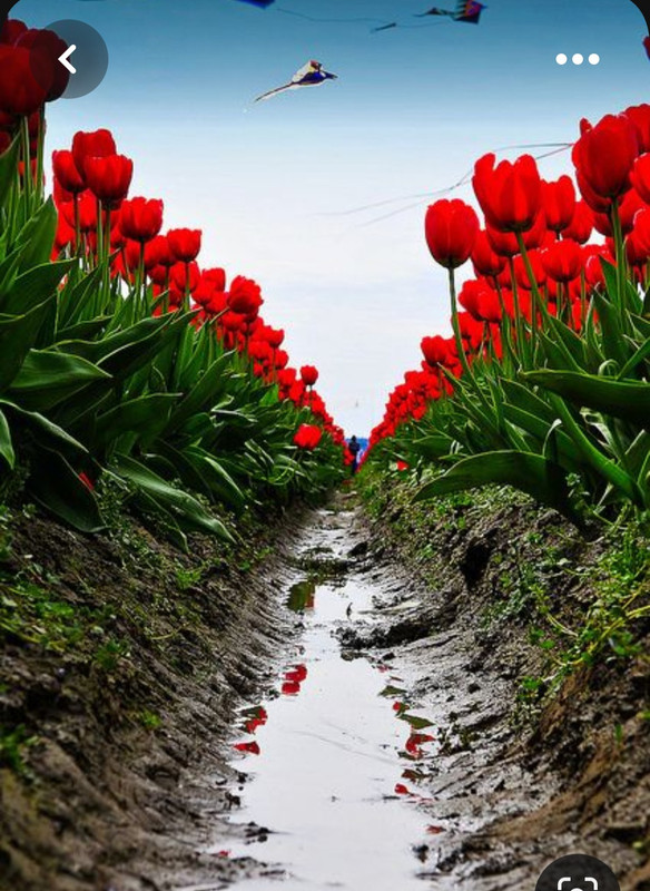 Screenshot_20230805_212738_Pinterest