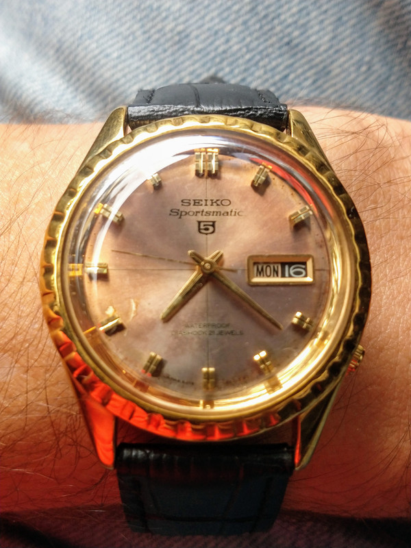 IMG_20191216_072115026~2