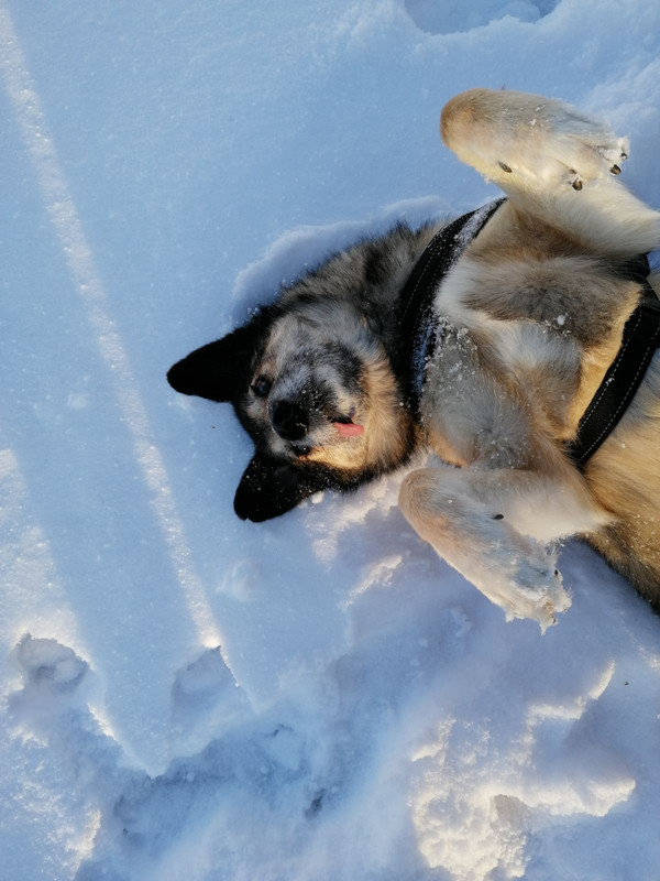 0A30545B-2502-432C-A504-A6C334F7986E