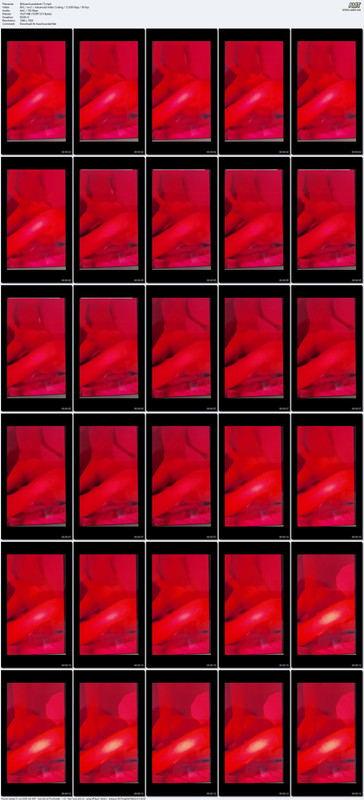 Asian Scandalnet (7) mp4