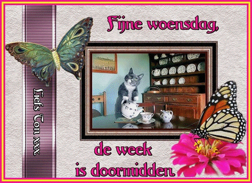 www.krabbelplaatjes.com
