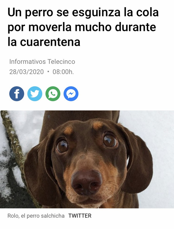 8163E8E7-11A7-4040-8879-3341488FA41D