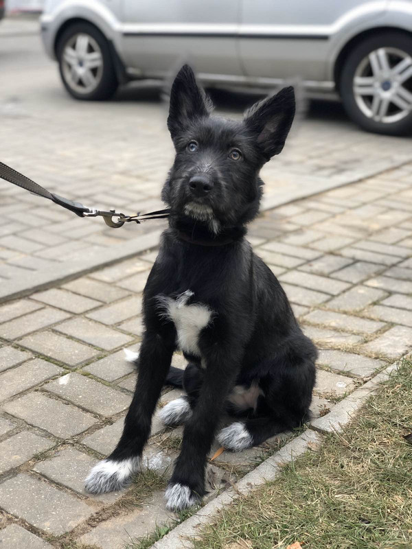 F21BA04F-A3AC-4BFB-BC6D-645BE14DB4AC