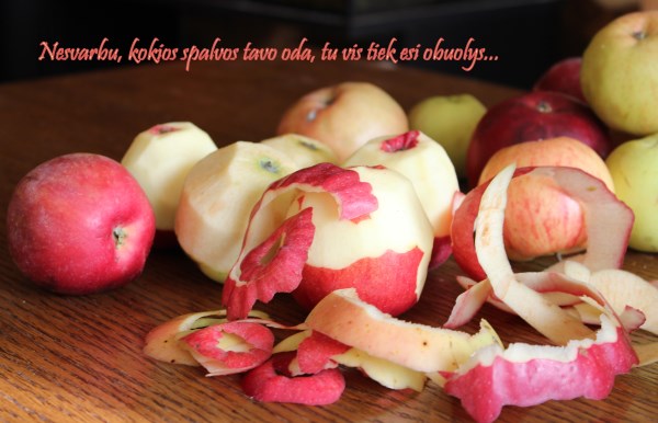 Migle Debesyte 10 klase (600 x 386)