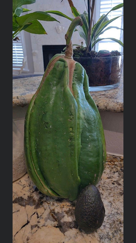 AE59F89D-39E9-4EC1-B42F-B7EBDE61409B