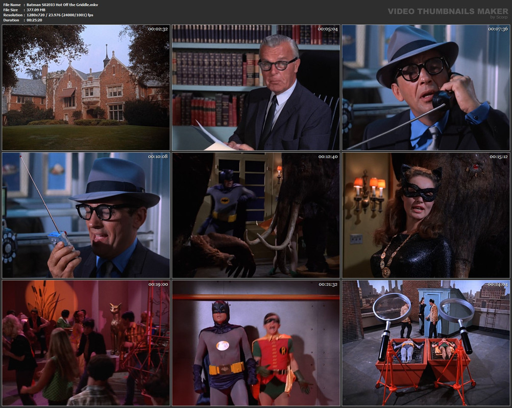 Batman S02E03 Hot Off the Griddle.mkv