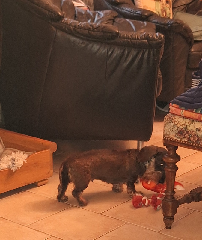 [Image: 20240501-195732.jpg]