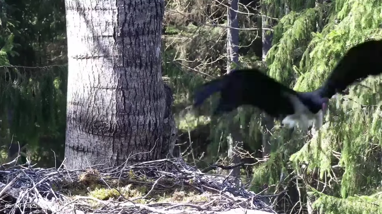 Ekrānuzņēmums 2025-05-13 135306