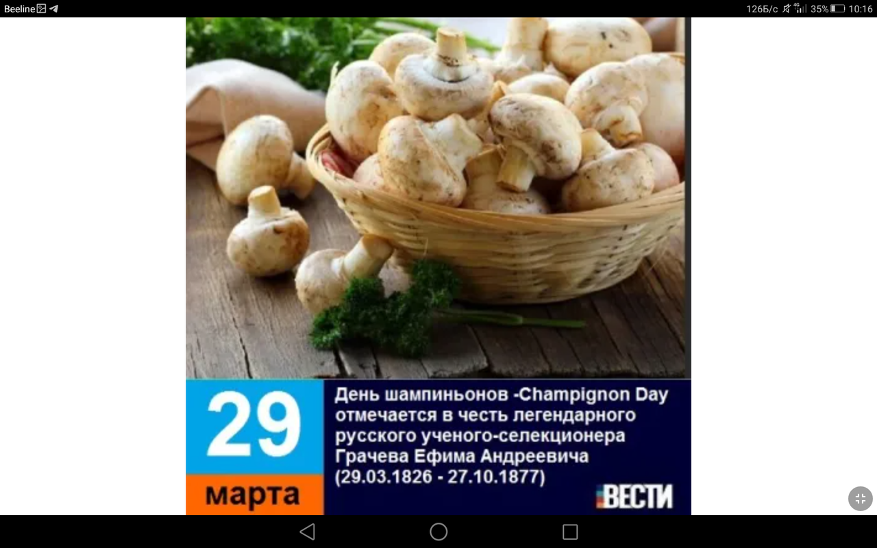 Screenshot_2023-03-29-10-16-56