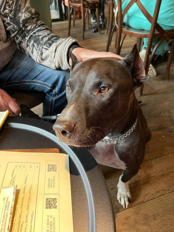 AAC42A19-0927-490E-8980-1F2664B080AD