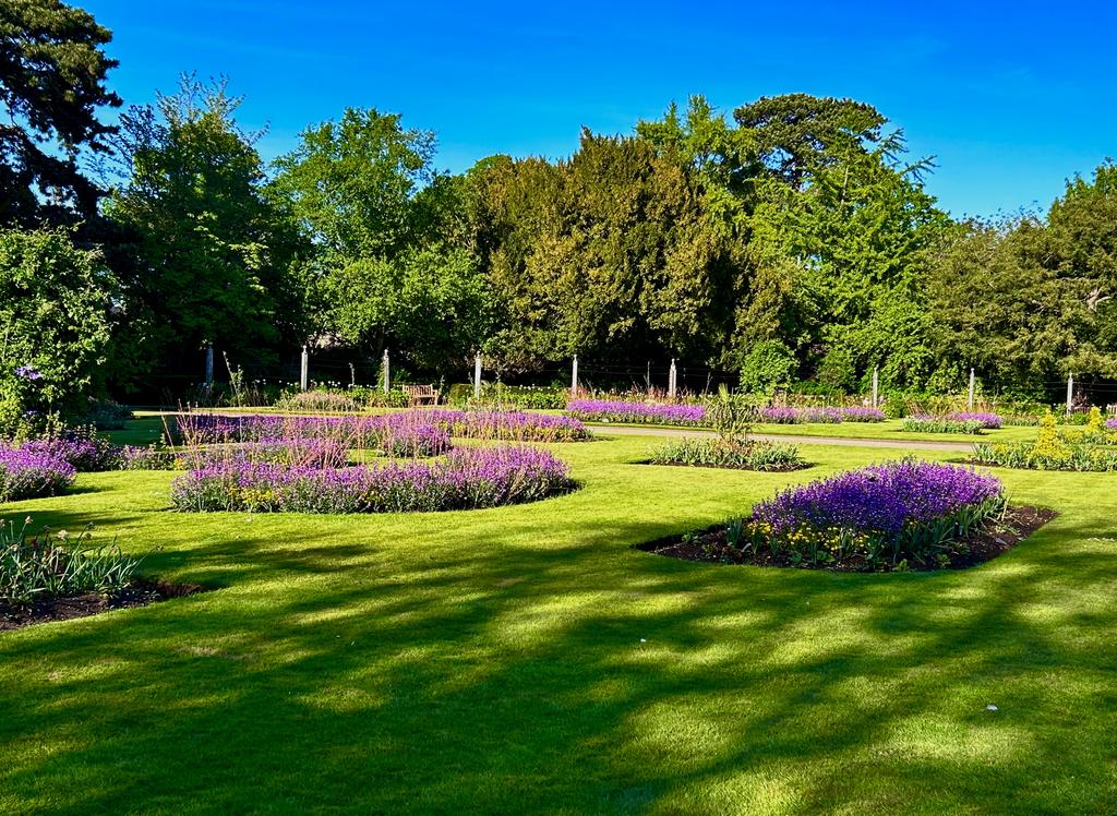 Пёстрая лента. Путешествие по сельским дорогам Англии в мае 2025 г.