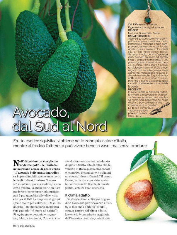 Il Mio Giar GIu-Lug 2023 (11)