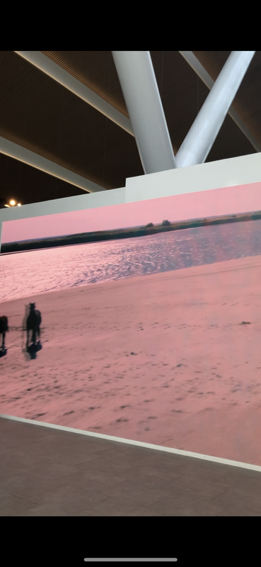 814BD1A9-8F75-460C-9300-F6459BF77431