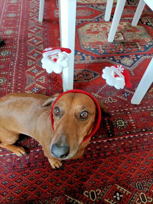 [Image: image000000-144.jpg]