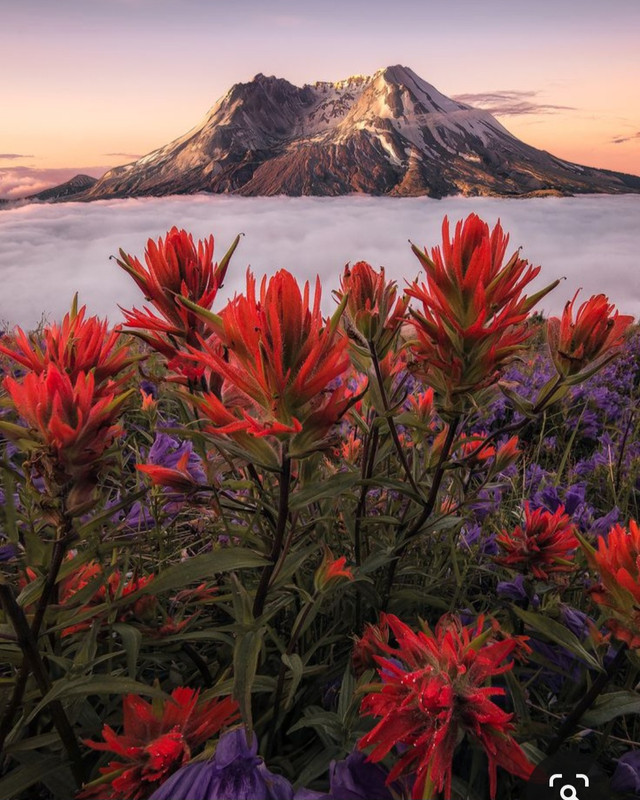 Screenshot_20231024_190255_Pinterest