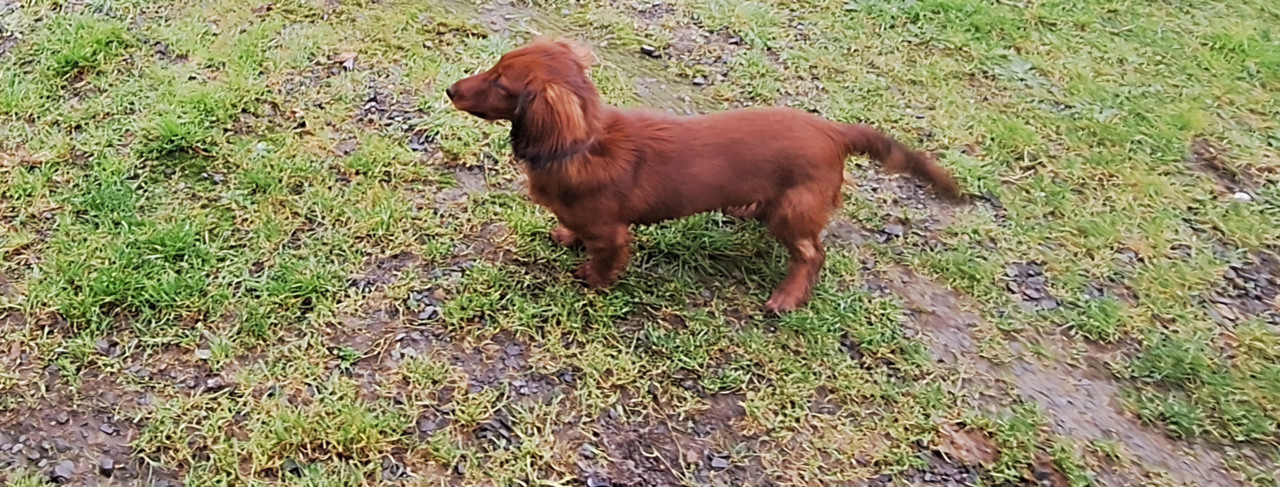 [Image: 20250105-111923.jpg]