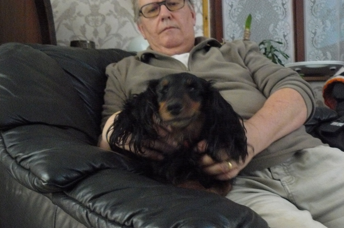 [Image: P1240694.jpg]