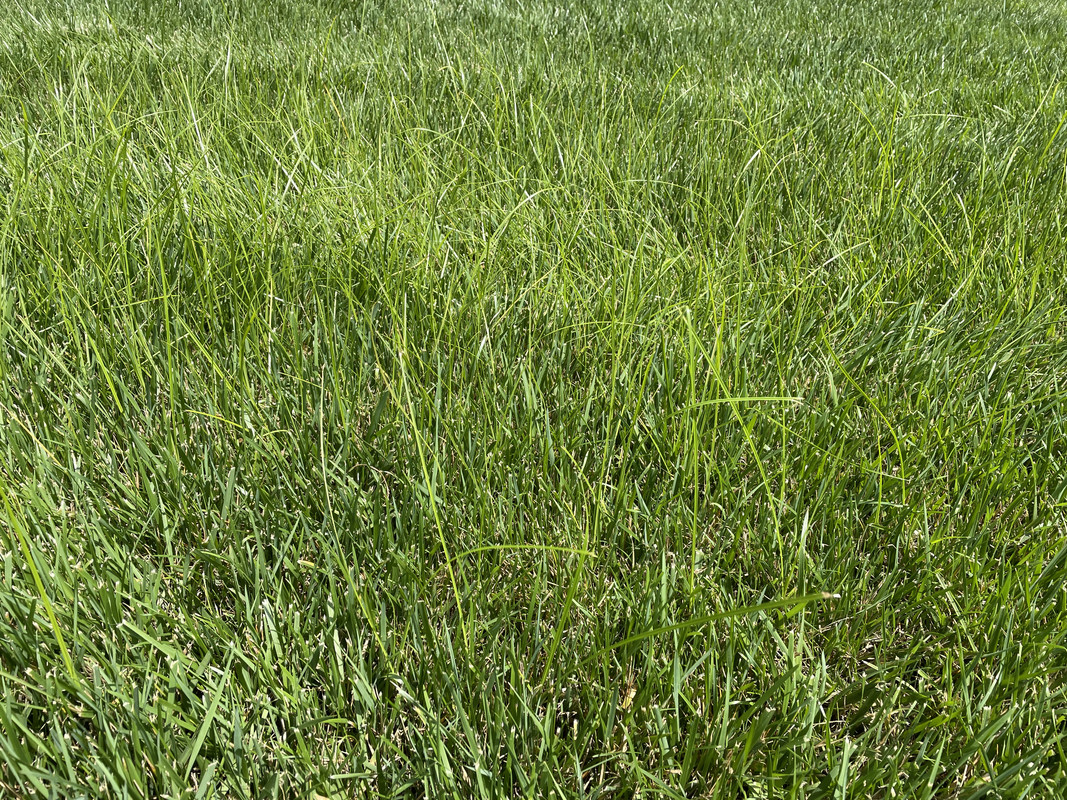 A12EFCF3-B3F3-48A6-9507-66105FF9E379