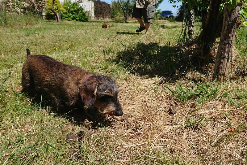 [Image: DSC-2025-05-23-2.jpg]