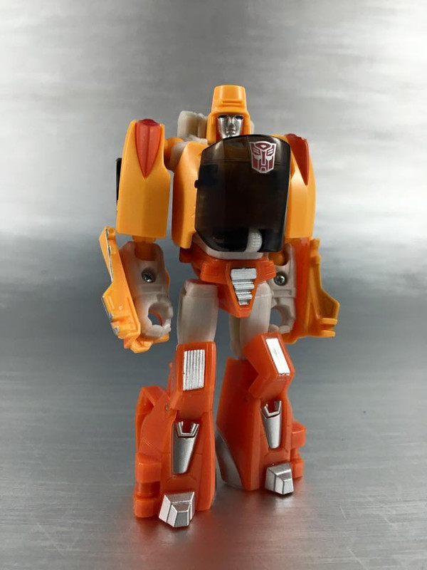 13466175_876027742524632_243387796032650688_n