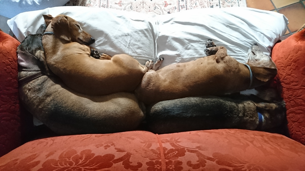 [Image: DSC-2584.jpg]