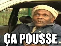 ça pousse ça pousse