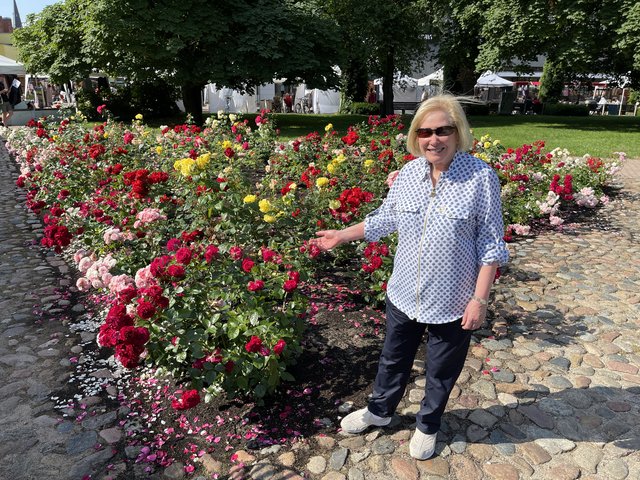 [Linked Image from i.postimg.cc]