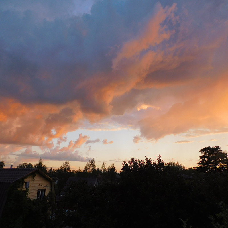 Дачно-Харлинский июнь-июль 2024 315