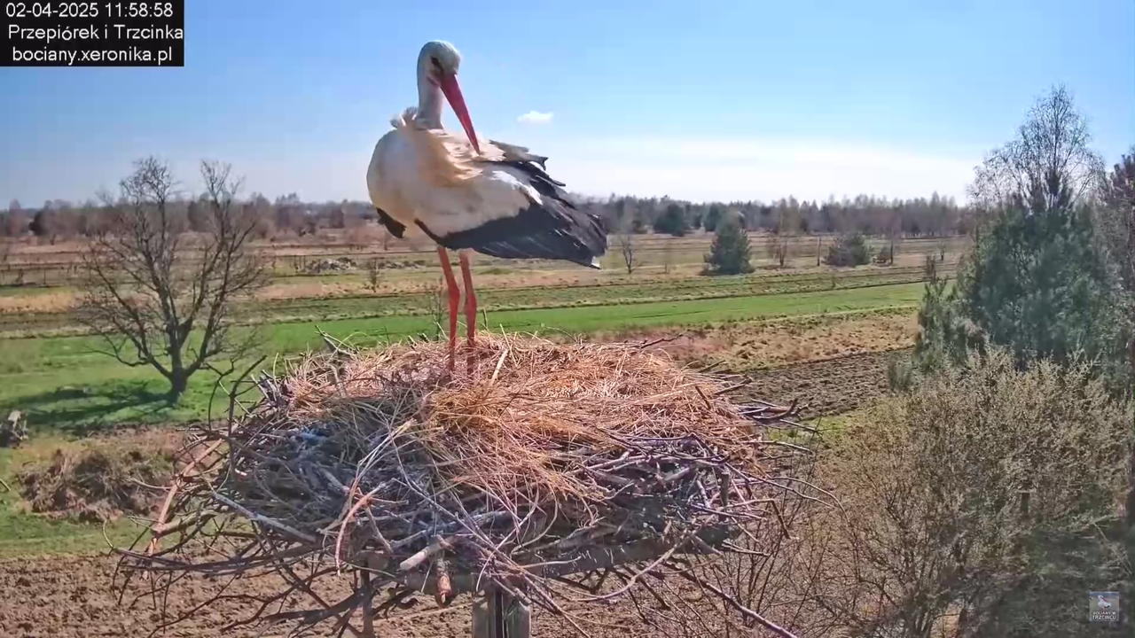 02042025krotkawizytabocka_31