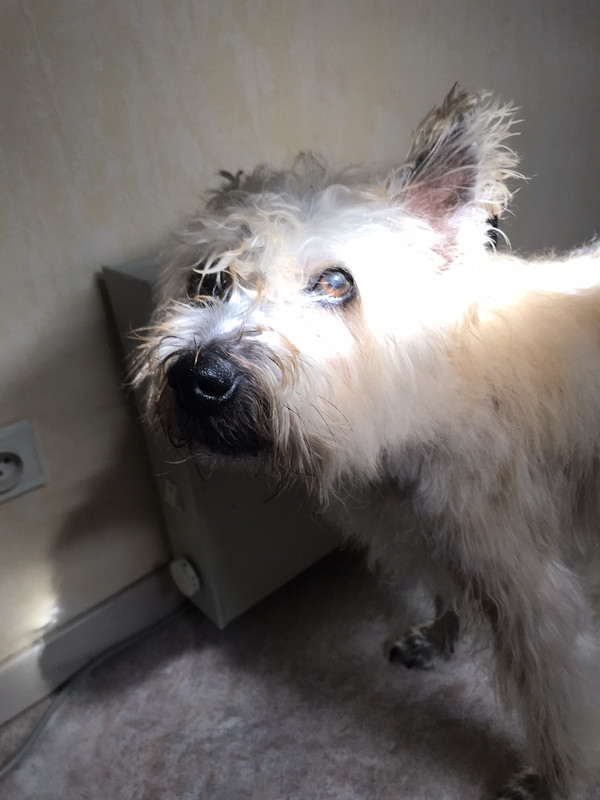 FBC12FE5-84C1-4558-9491-94B67DBFC49A