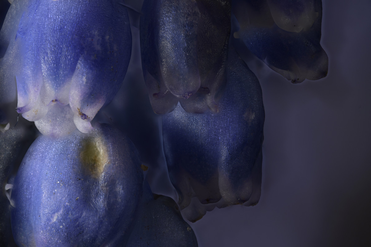 2024-04-21 16-00-16 (B,R8,S4)