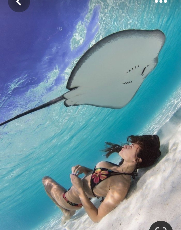 Screenshot_20230518_224903_Pinterest