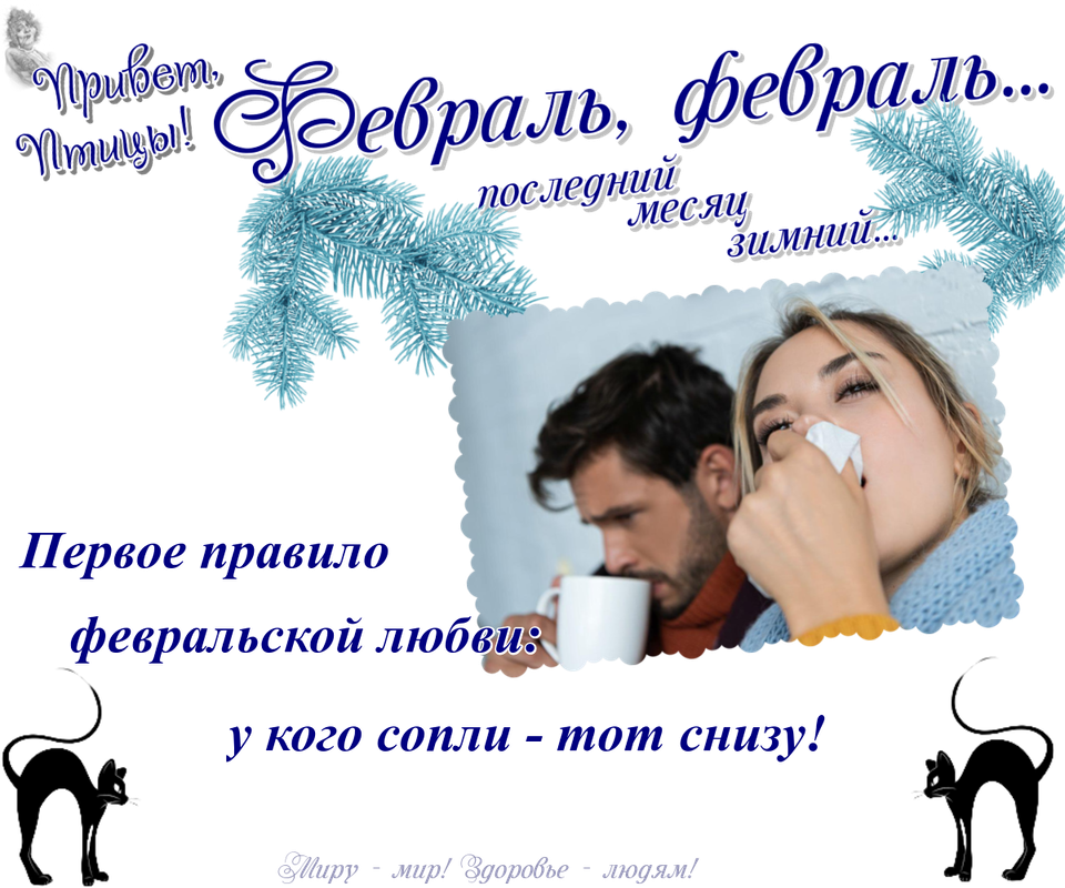 https://i.postimg.cc/63hqjDGg/17-02.png